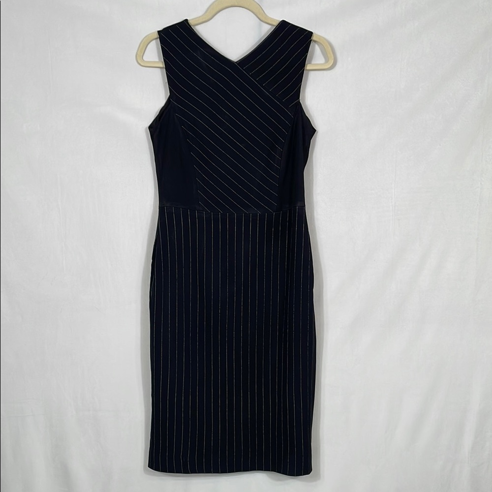 Jason Wu Pinstripe Dress Estimated Size 4 to 6 sleeveless Modest Legnth